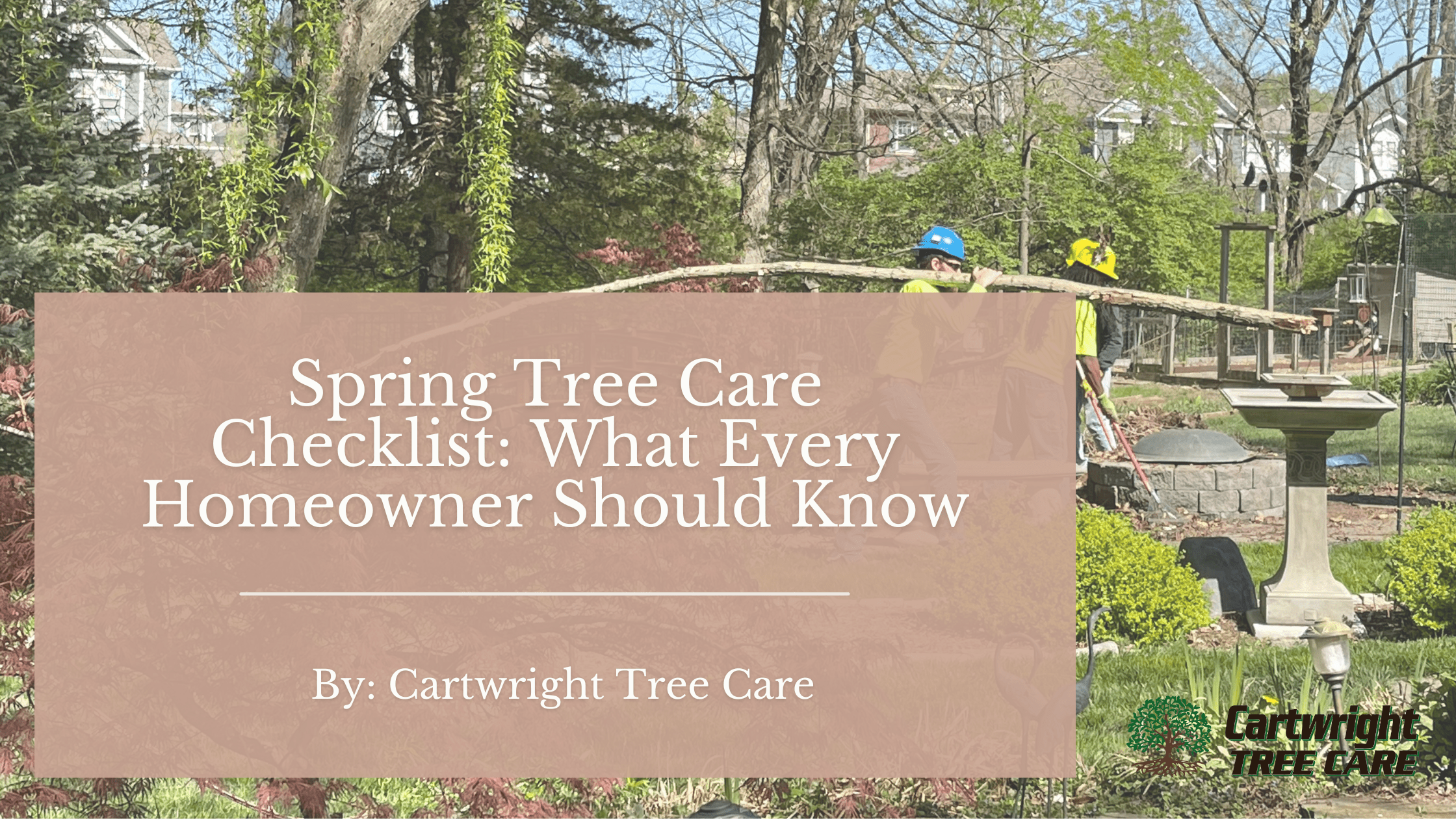 Winter Tree Care Checklist What Every Homeowner Needs To Know - Ultra HD Nature Arts for Desktop